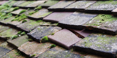 Stockton Brook roof repair costs